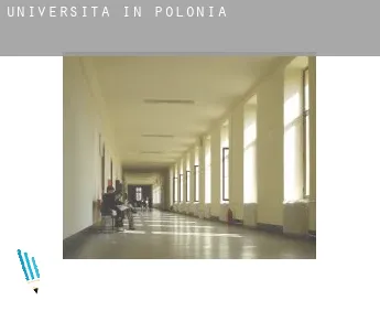 Università in  Polonia