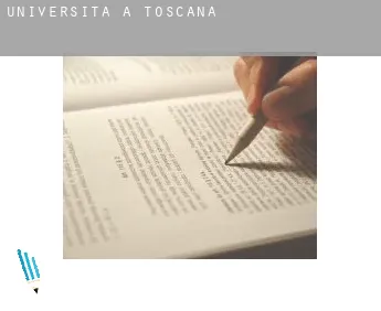 Università a  Toscana