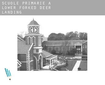 Scuole primarie a  Lower Forked Deer Landing