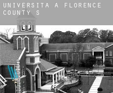 Università a  Florence County