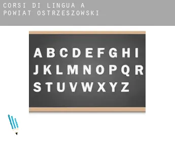 Corsi di lingua a  Powiat ostrzeszowski