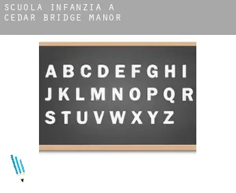 Scuola infanzia a  Cedar Bridge Manor