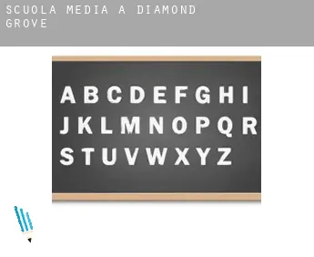 Scuola media a  Diamond Grove