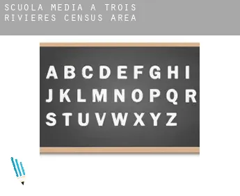 Scuola media a  Trois-Rivières (census area)