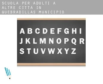 Scuola per adulti a  Altre città in Quebradillas Municipio