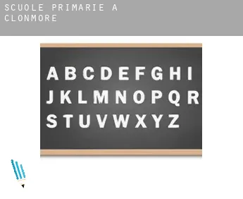 Scuole primarie a  Clonmore