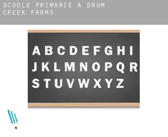 Scuole primarie a  Drum Creek Farms
