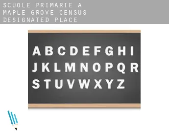Scuole primarie a  Maple Grove
