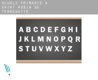 Scuole primarie a  Saint-Aubin-de-Terregatte
