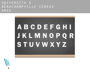 Università a  Beauchampville (census area)