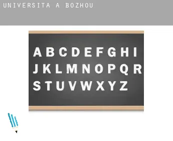 Università a  Bozhou