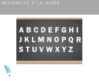 Università a  La Aldea
