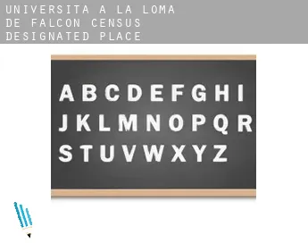 Università a  La Loma de Falcon