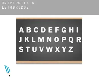 Università a  Lethbridge