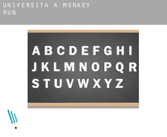 Università a  Monkey Run