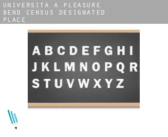 Università a  Pleasure Bend