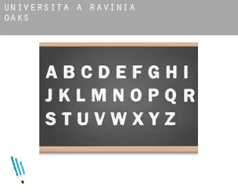 Università a  Ravinia Oaks