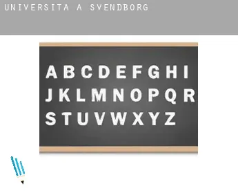 Università a  Svendborg