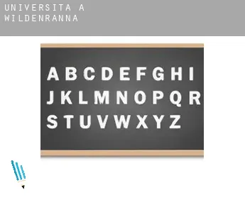 Università a  Wildenranna