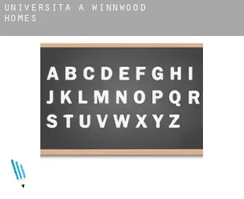 Università a  Winnwood Homes