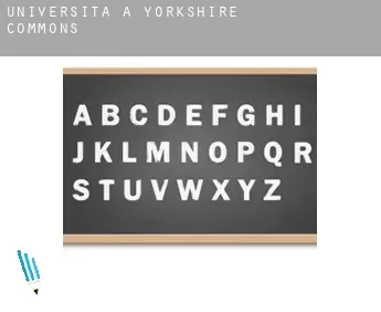 Università a  Yorkshire Commons