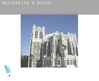 Università a  Burin