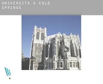 Università a  Cold Springs