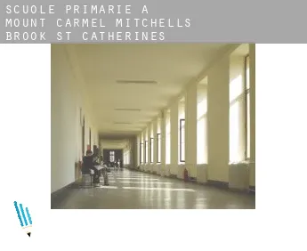 Scuole primarie a  Mount Carmel-Mitchells Brook-St. Catherines