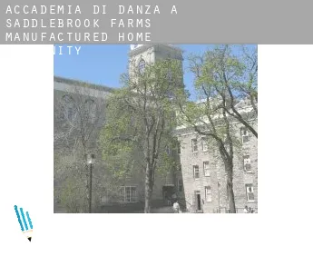 Accademia di danza a  Saddlebrook Farms Manufactured Home Community