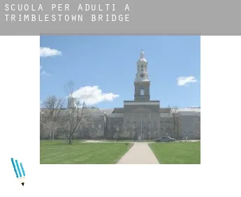 Scuola per adulti a  Trimblestown Bridge