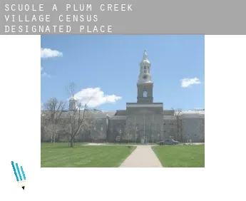 Scuole a  Plum Creek Village