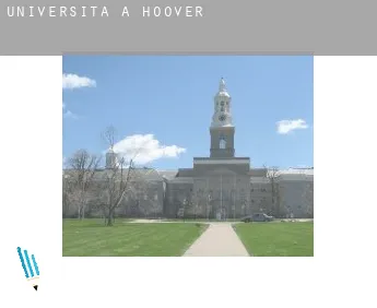 Università a  Hoover