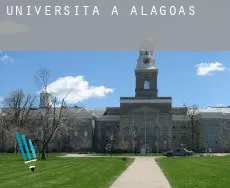 Università a  Alagoas