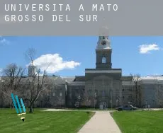 Università a  Mato Grosso do Sul