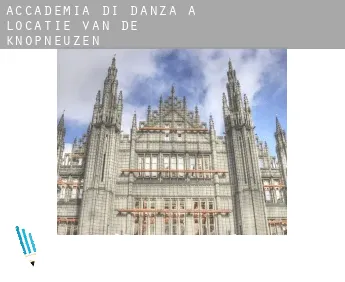 Accademia di danza a  Locatie van de Knopneuzen