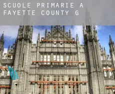 Scuole primarie a Fayette County