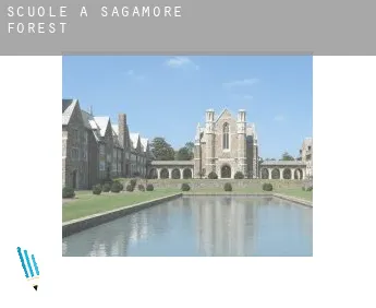 Scuole a  Sagamore Forest