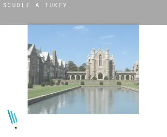 Scuole a  Tukey