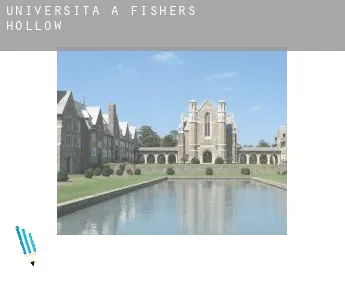 Università a  Fishers Hollow