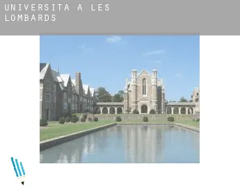 Università a  Les Lombards