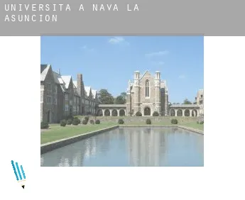 Università a  Nava de la Asunción