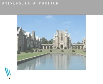 Università a  Puriton