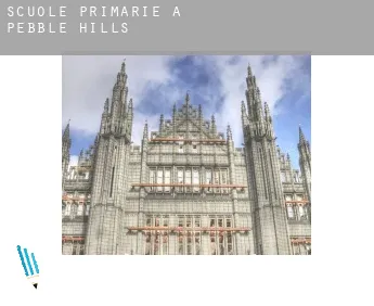 Scuole primarie a  Pebble Hills