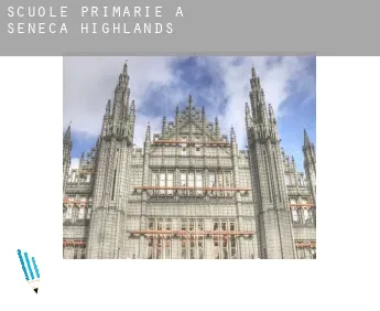 Scuole primarie a  Seneca Highlands
