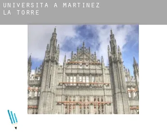 Università a  Martínez de La Torre