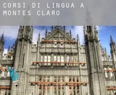 Corsi di lingua a Montes Claros