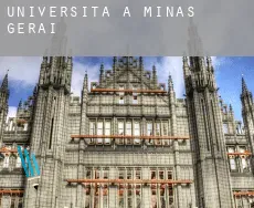 Università a  Stato di Minas Gerais