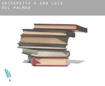 Università a  San Luis del Palmar