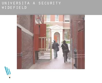 Università a  Security-Widefield
