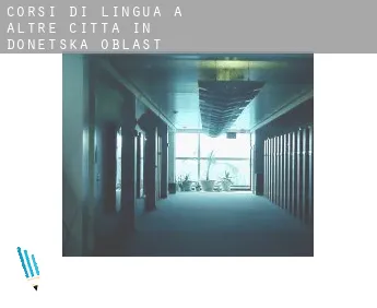 Corsi di lingua a  Altre città in Donets’ka Oblast’